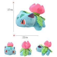 Load image into Gallery viewer, 45637565055243
