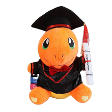 Lade das Bild in den Galerie-Viewer, Pokemon Abschluß oder Doktor Plüschtiere (ca. 20cm)
