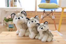 Load image into Gallery viewer, Niedlicher Husky Kuscheltier Stofftier Hund kaufen
