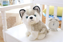 Load image into Gallery viewer, Niedlicher Husky Kuscheltier Stofftier Hund kaufen
