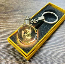 Lade das Bild in den Galerie-Viewer, Pokemon Go Leuchtende Anhänger in vielen Motiven - Keychain kaufen
